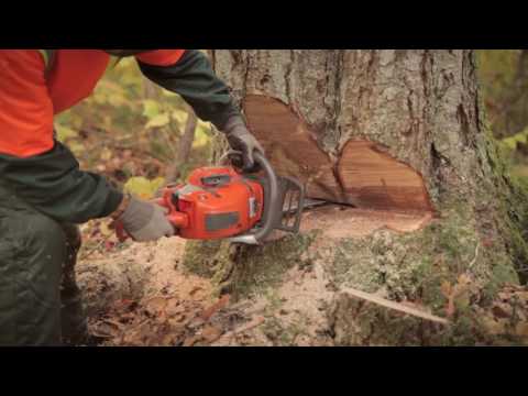Safe Manual Felling - Section 10 - Drilling