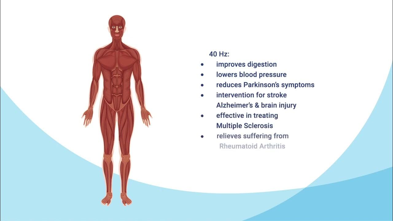 Sound Oasis Vibroacoustic Therapy System VTS 1000 YouTube