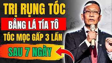 Cách trị rụng tóc bằng lá tía tô – mọc tóc nhanh gấp 3 lần, an toàn tại nhà! | lại văn sâm