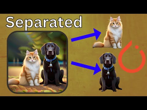 Semantic segmentation in