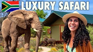 South Africa's LUXURY Glamping Safari 🇿🇦 How Good Is It?