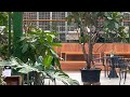 Tanya Iwamoto Vlog is live Hot Thursday | 5/14/2026