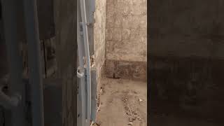 Am demolat baia #shorts