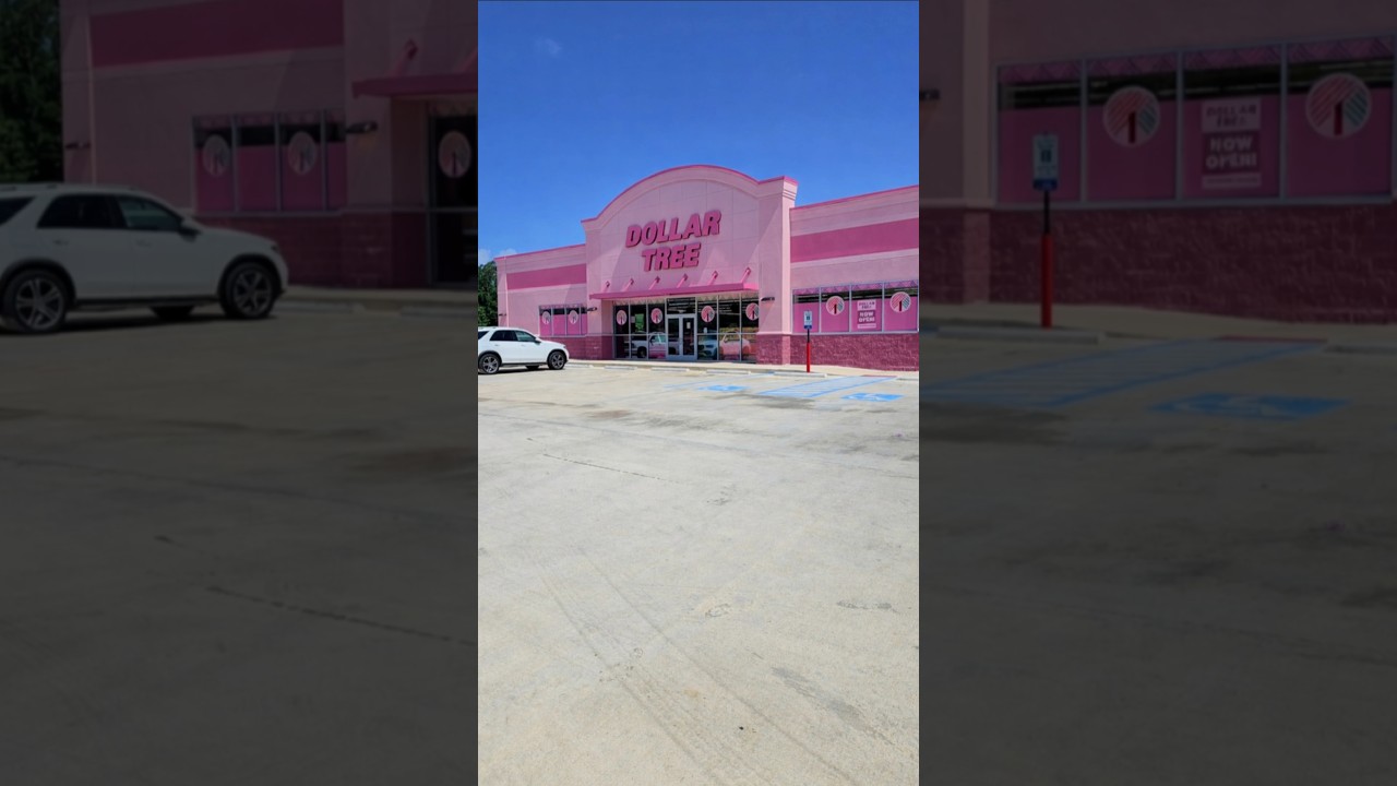 НОВИНКА! ПОТРЯСАЮЩАЯ НАХОДКА В DOLLAR TREE! 