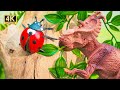 Dinosaur Ate a Ladybug | Toy Animals for Kids Toy Animals Short Film