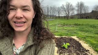 The Attainable Garden Series. Episode 5. Planting lettuce. And an oops. Spring weather.