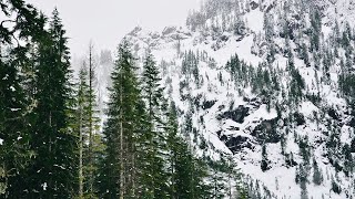 Burial of Alaskan Forests: Glacier Detachments with Mylène Jacquemart