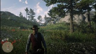 RDR2 Alternate location of English Mace
