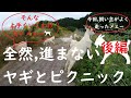 ヤギさん達とピクニックだメェー🐐なかなか進まない!予定通りいかない?距離は200mしかないのにどうして!?