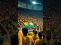 Brasil vs Ecuador