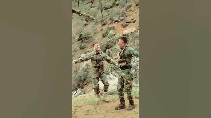 Meet the world's militaries