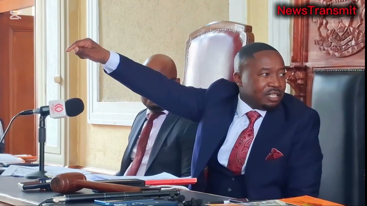 Mafume's plan to destroy Mushikashika Vehicles