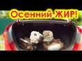 ХАПНУЛ ДВА ИЖевских ДВИЖКА НА МЕТАЛОПРИЁМКЕ!