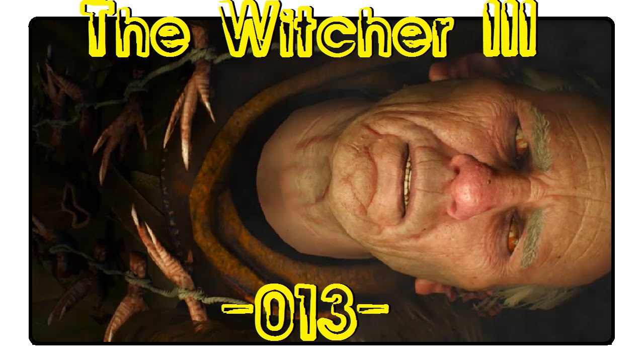 THE WITCHER 3 WILD HUNT 