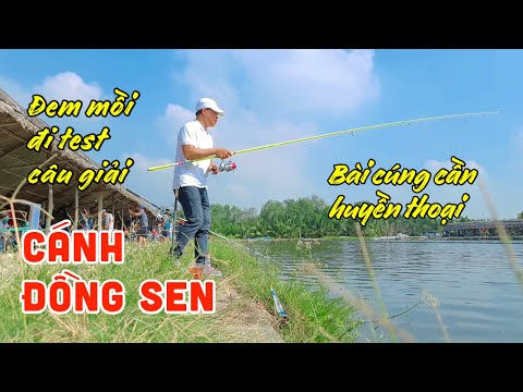 Đem Mồi Đi Test Thử Tại Hồ Câu Cánh Đồng Sen - Bài Cúng Cần Huyền Thoại | Chung Nguyễn Fishing