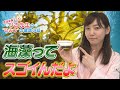 【第21回小話】海藻篇_海藻は人類を救う！？