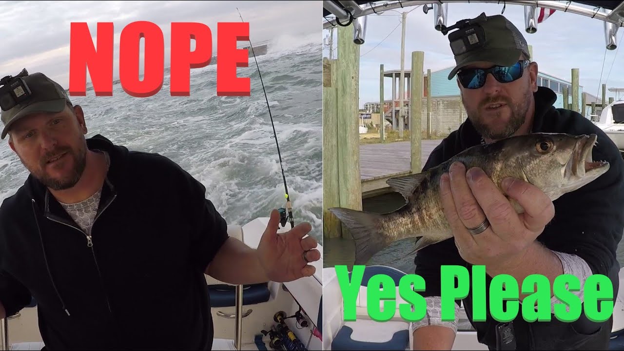 Inshore Fishing at Ponce Inlet/ New Smyrna, Sheepshead and Mangrove