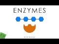 Understanding Glucose, Enzymes, and Reactions
