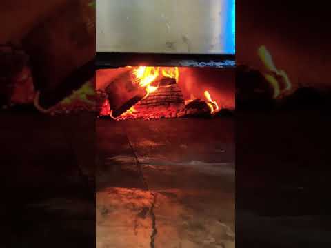 Wood fired Pizza