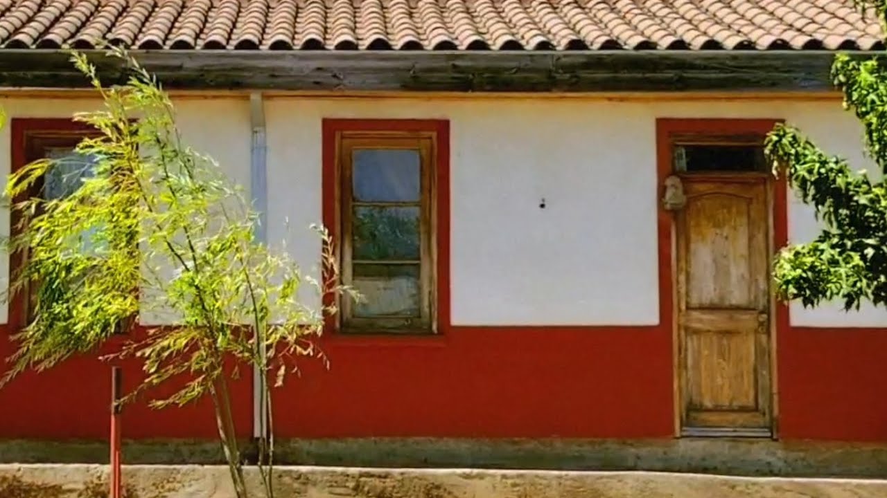 Copihue / San Ramón - Maule, Verano 2025