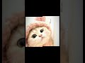 #cat #cute #kedi #cutecat kedi 🐱