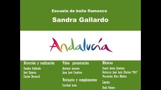 Estudio Flamenco Sandra Gallardo