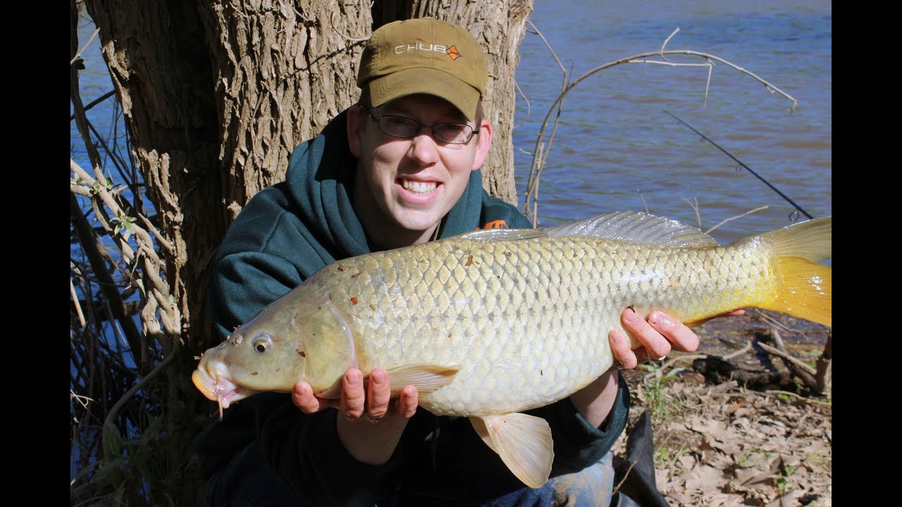 Catching carp with corn in Virginia YouTube