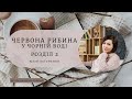 Червона рибина у чорній воді. Розділ 2