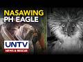 Nasawing PH eagle na si Sawaga-Dalwangan, nakaranas ng paglaki ng organs batay sa necropsy