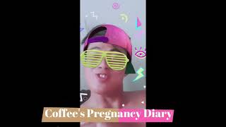 PRincess SHIH Tzu Pregnancy Journey