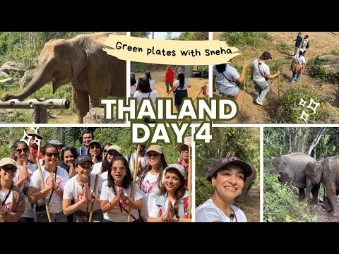 Green Plates with Sneha – Day 4 | Feeding Elephants & Feeding the Soul in Chiang Mai 🐘 🇹🇭