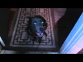 Zeus The Pit Wiener Dog Sings Grease