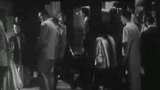 Why Vandalism? What Makes People That Way? Educational Video