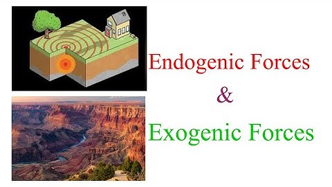 Endogenic and Exogenic Forces | Sudden force and Slow force |
