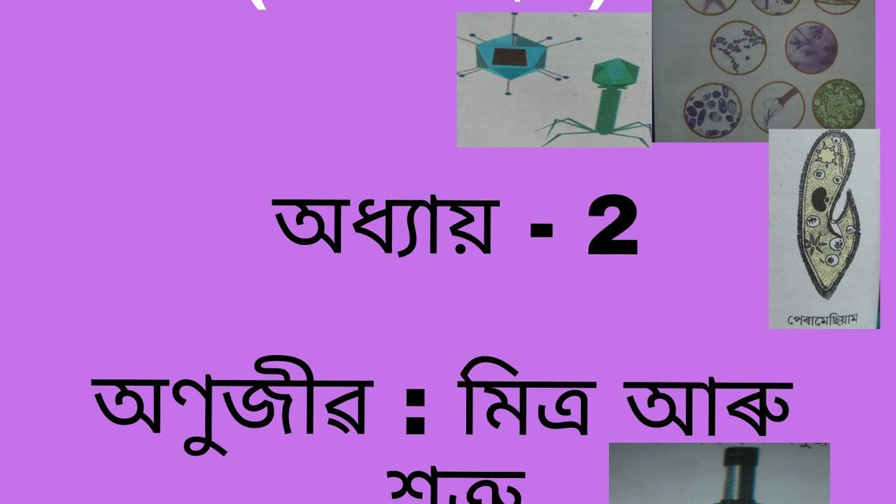 Bhaskar Jyoti@অণুজীৱ:  মিত্ৰ আৰু শত্ৰু ( অষ্টম শ্ৰেণী), Microorganisms:  Friend & Foe