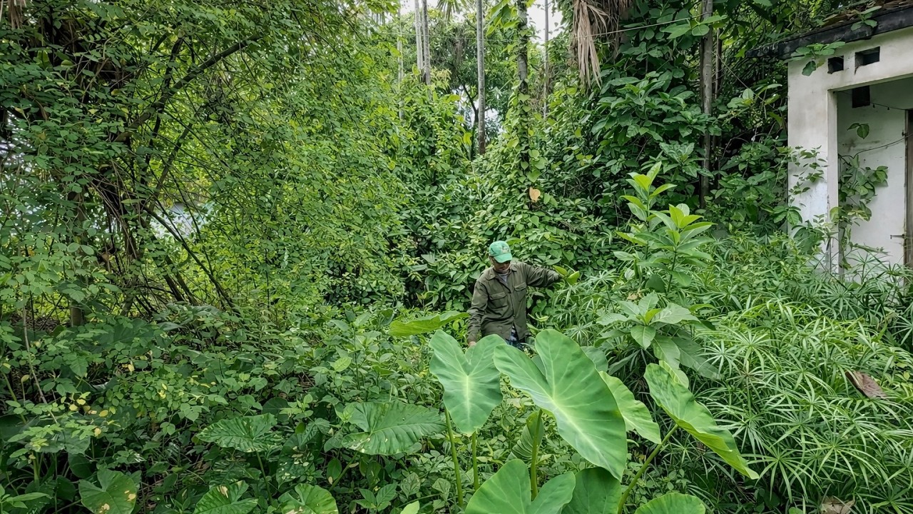 Major Abandoned House Renovation – Attacked While Cleaning & Restoring