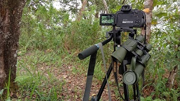 Melacak Penunggu Gunung Silangjana