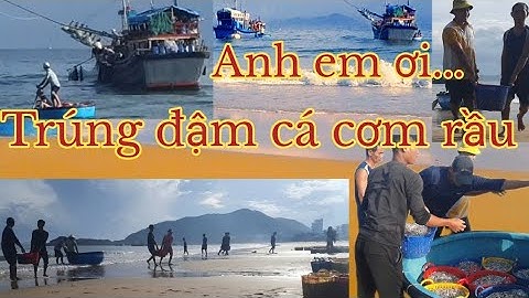Cá cơm cuối mùa tấp nập vào bờ// Ngư dân miền biển