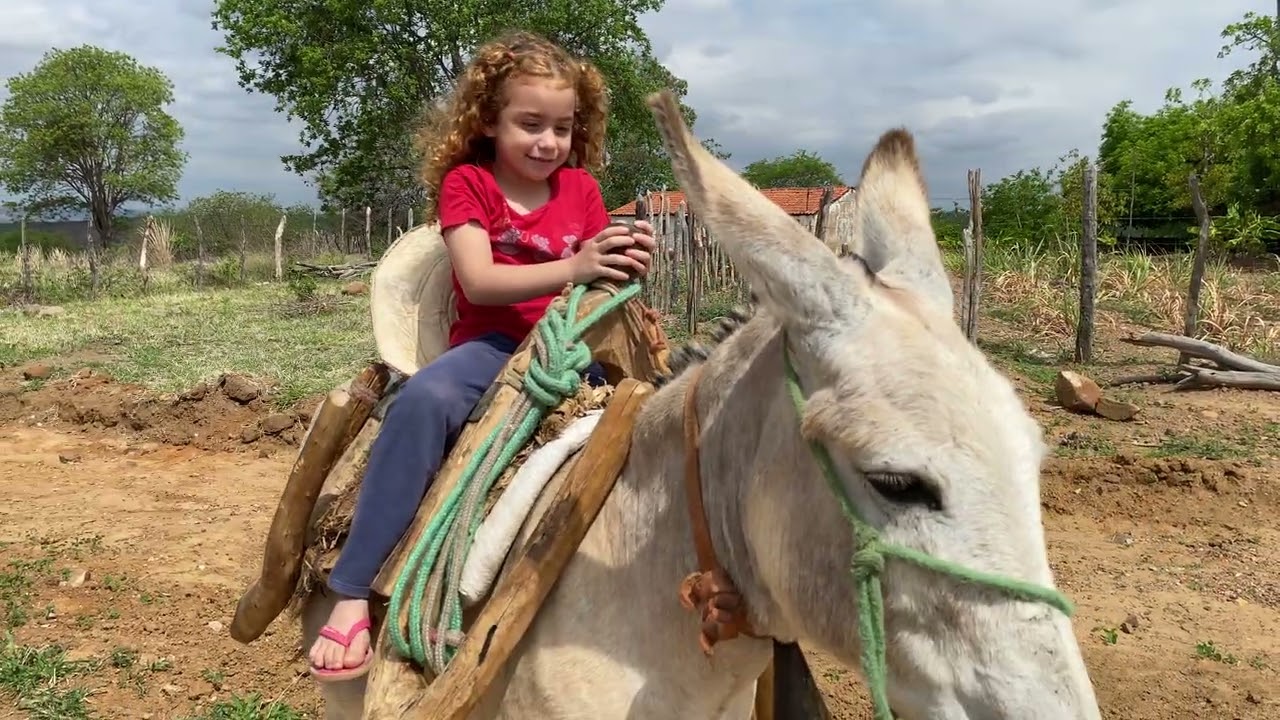 7 de janeiro de 2026