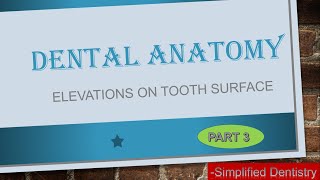 Elevations on Tooth Surface | Crown Elevations