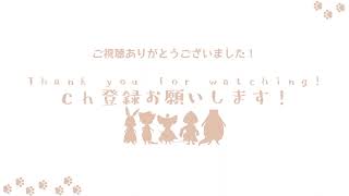 【VTuber】バイオハザードRE2クレア編を始める　の段！２🐭