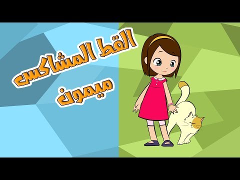القط المشاكس اجمل اغنية للاطفال عن القطط 2019 