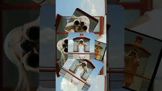 Download Lagu Ava Max Spot a Fake MP3