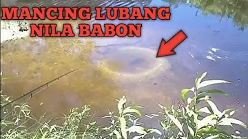 🔴 CARA MANCING LOBANG NILLA‼️MANTUL🎣🐟👍👍👍