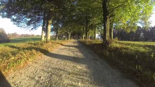 The Forrest Gump Road