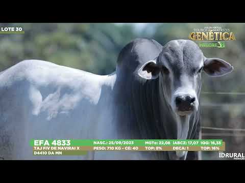 LOTE 30