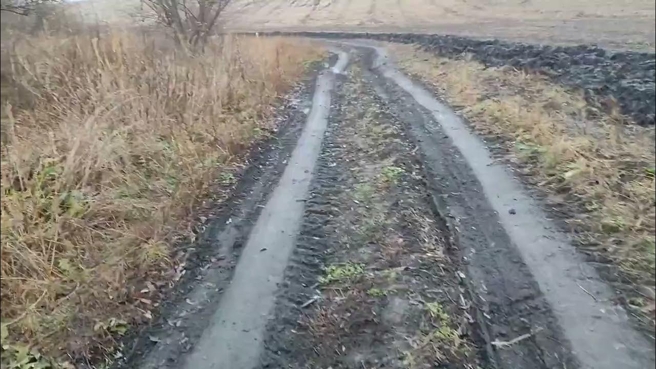 Пошук ЩУКИ - 2. - YouTube