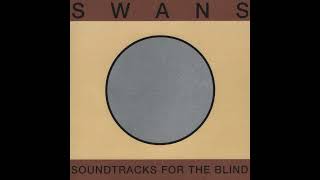 The Beautiful Days - Swans