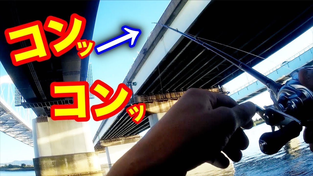 関西メジャーバス釣り場 淀川 オカッパリ最新現場レポート 激アツエリアや釣り方を紹介 釣りの総合ニュースサイト Lurenewsr ルアーニュース アール