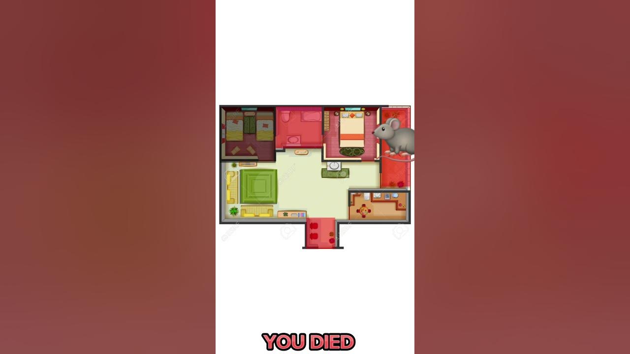 A Big Rat Is Hungry Quick Hide YouTube a-big-rat-is-hungry-quick-hide-youtube